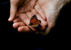 Good person knows in heart not in face