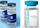 Difference Between Covaxin and Covishield