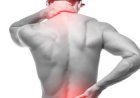 Why should you use Pain O Soma 500 to relieve lower back pain?
